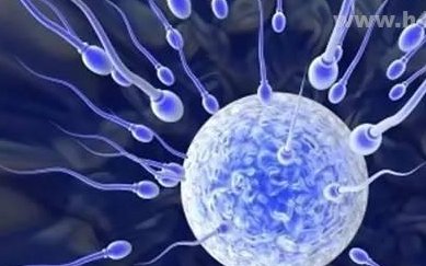 前往俄罗斯做试管婴儿自助攻略一览，先申请签证再做检查