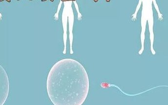 40岁以上高龄产妇做试管婴儿需谨慎