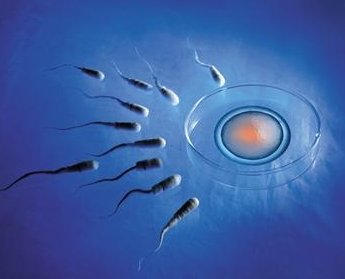 山东烟台试管哪家医院成功率高？