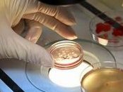 在台州做一次三代试管婴儿需要多长时间？哪些人适合做三代试管婴儿？