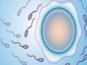 泰国做试管婴儿单周期费用揭秘：哪些项目会让你的预算超支？