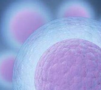 银川结婚登记预约退伍军人怎么预约别没数，最快3步搞定