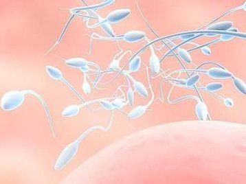 深圳北大医院做试管婴儿要多少钱？(2026深圳怀孕费用参考)